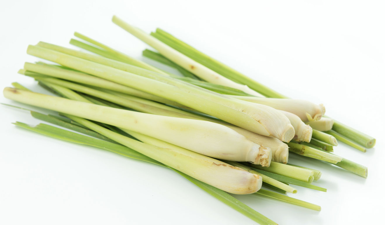 Health-Benefits-of-Lemongrass