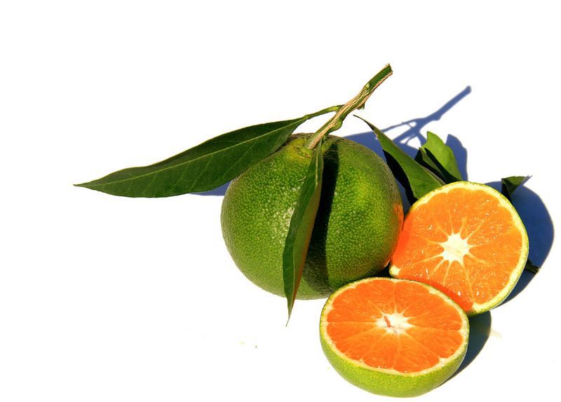 Mandarine verte