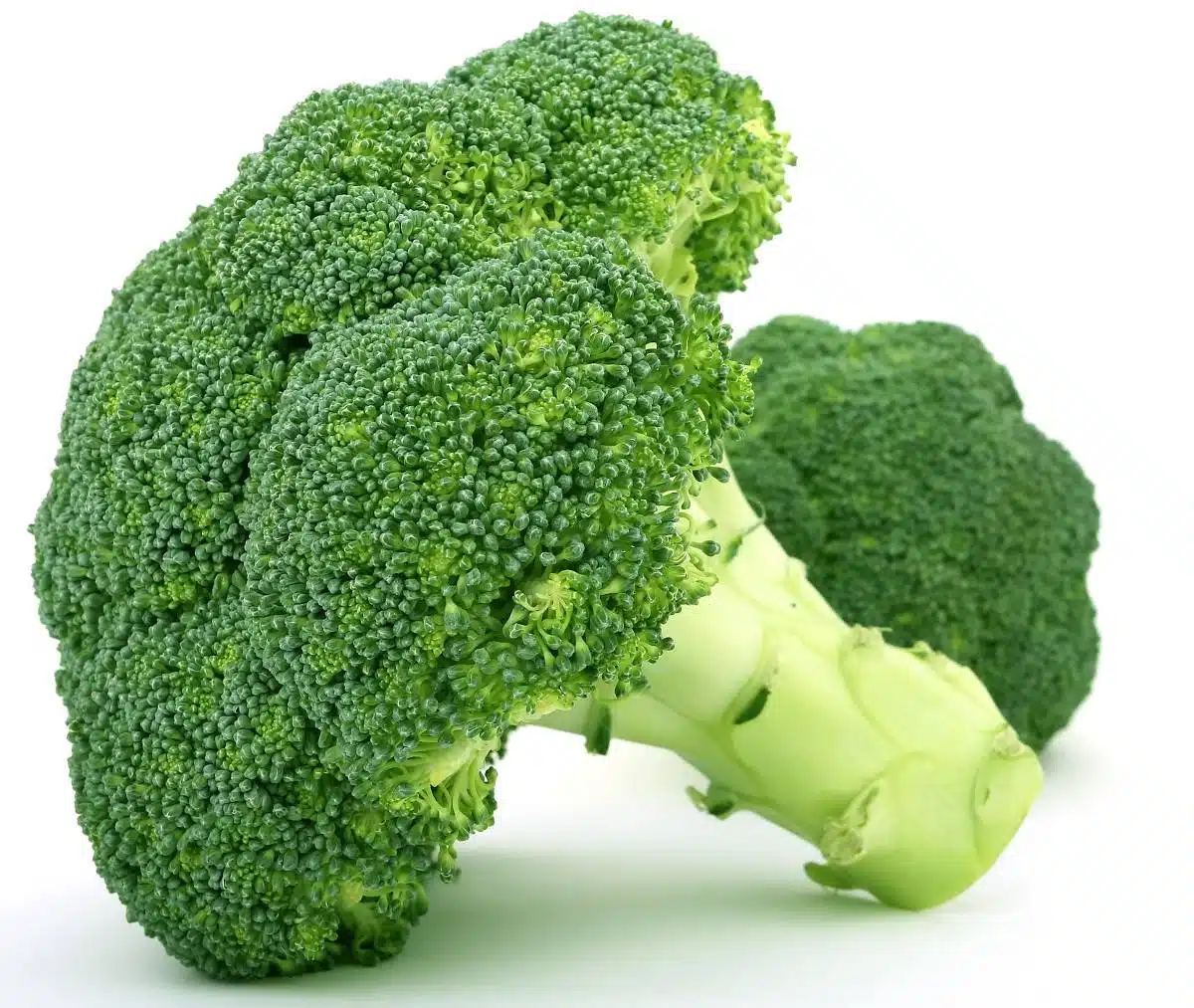 BROCOLI.jpg